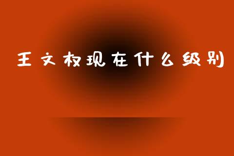 王文权现在什么级别_https://www.gongyisiwang.com_焦炭期货手续费_第1张