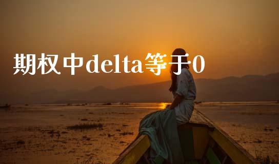 期权中delta等于0_https://www.gongyisiwang.com_焦炭期货手续费_第1张
