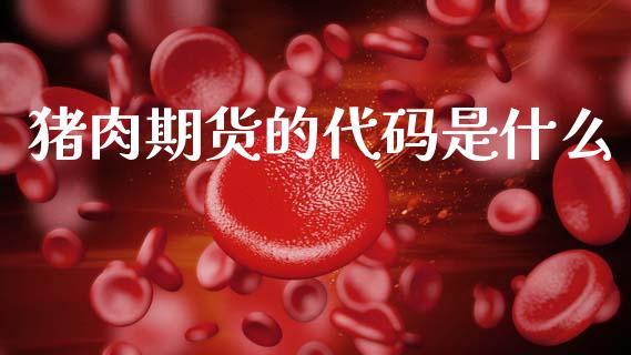 猪肉期货的代码是什么_https://www.gongyisiwang.com_股指期货交易手续费_第1张