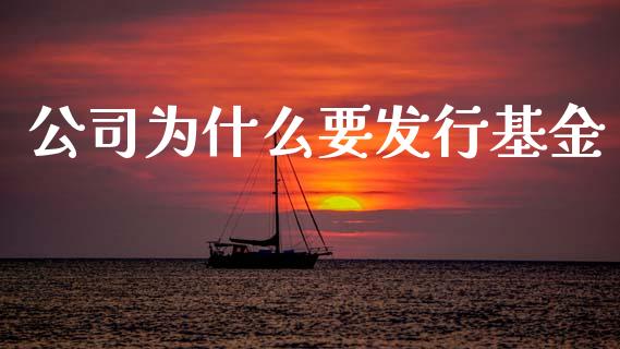 公司为什么要发行基金_https://www.gongyisiwang.com_广发期货手续费_第1张