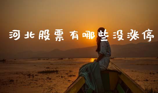 河北股票有哪些没涨停_https://www.gongyisiwang.com_期货公司手续费排名_第1张