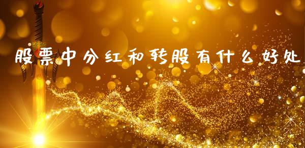 股票中分红和转股有什么好处_https://www.gongyisiwang.com_期货公司手续费排名_第1张