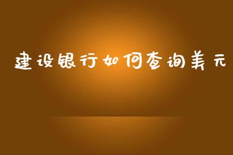 建设银行如何查询美元_https://www.gongyisiwang.com_焦炭期货手续费_第1张