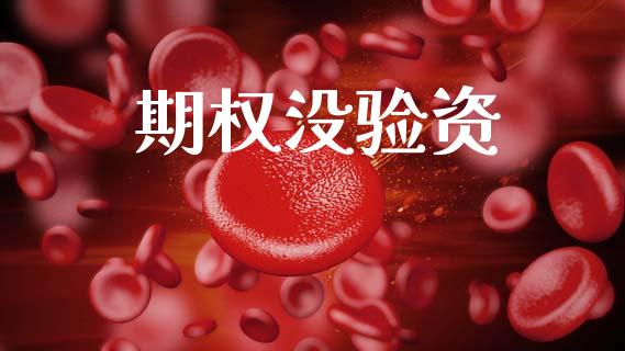 期权没验资_https://www.gongyisiwang.com_道指_第1张