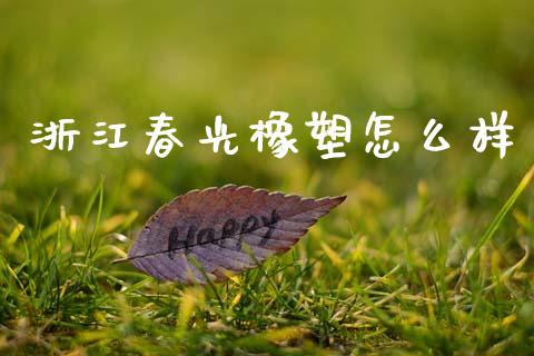 浙江春光橡塑怎么样_https://www.gongyisiwang.com_道指_第1张