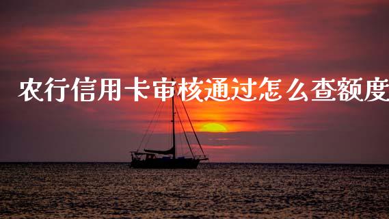 农行信用卡审核通过怎么查额度_https://www.gongyisiwang.com_股指期货_第1张