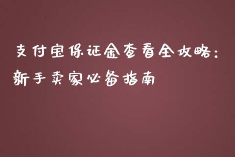 支付宝保证金查看全攻略：新手卖家必备指南_https://www.gongyisiwang.com_原油期货_第1张