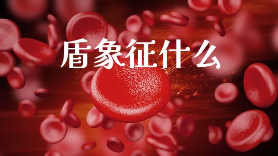 盾象征什么_https://www.gongyisiwang.com_道指_第1张