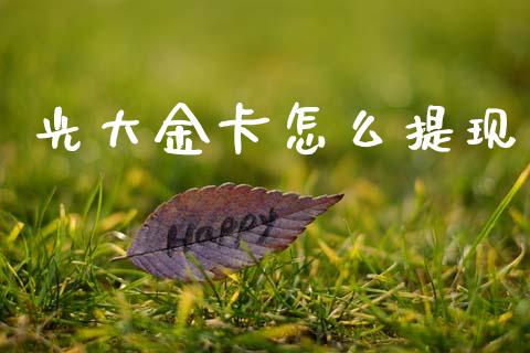 光大金卡怎么提现_https://www.gongyisiwang.com_股指期货_第1张