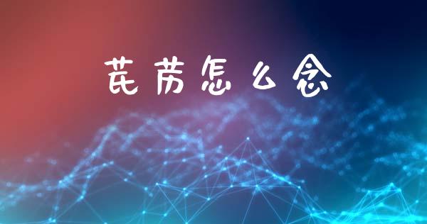 芪苈怎么念_https://www.gongyisiwang.com_股指期货交易手续费_第1张