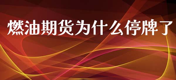 燃油期货为什么停牌了_https://www.gongyisiwang.com_期货公司手续费排名_第1张