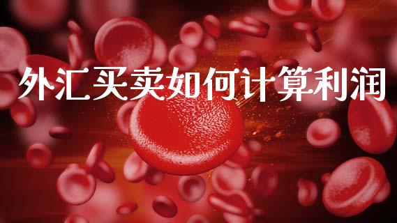 外汇买卖如何计算利润_https://www.gongyisiwang.com_焦炭期货手续费_第1张