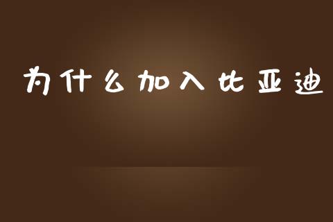 为什么加入比亚迪_https://www.gongyisiwang.com_恒指期货_第1张