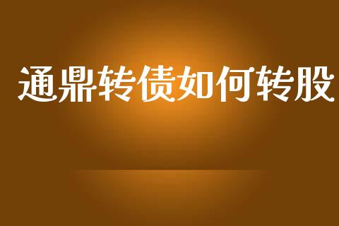 通鼎转债如何转股_https://www.gongyisiwang.com_股指期货_第1张