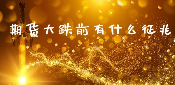 期货大跌前有什么征兆_https://www.gongyisiwang.com_道指_第1张