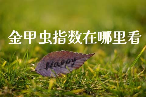 金甲虫指数在哪里看_https://www.gongyisiwang.com_焦炭期货手续费_第1张