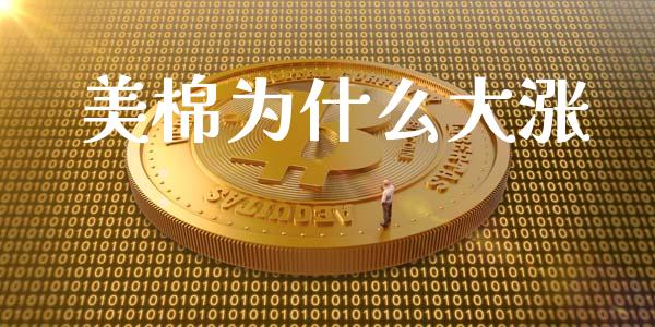 美棉为什么大涨_https://www.gongyisiwang.com_焦炭期货手续费_第1张