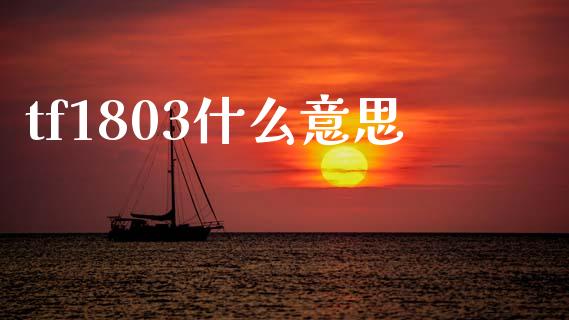 tf1803什么意思_https://www.gongyisiwang.com_期货公司手续费排名_第1张