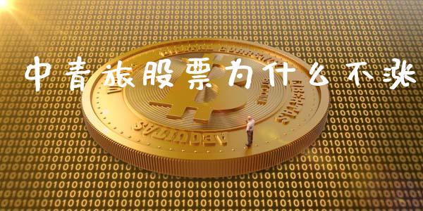 中青旅股票为什么不涨_https://www.gongyisiwang.com_股指期货_第1张