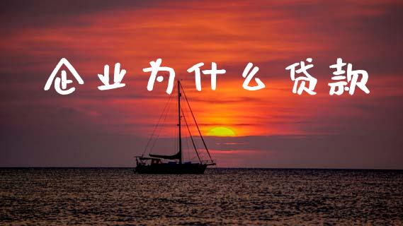 企业为什么贷款_https://www.gongyisiwang.com_恒指期货_第1张