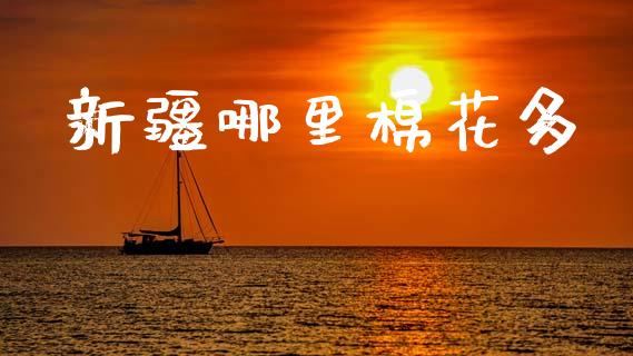 新疆哪里棉花多_https://www.gongyisiwang.com_期货公司手续费排名_第1张