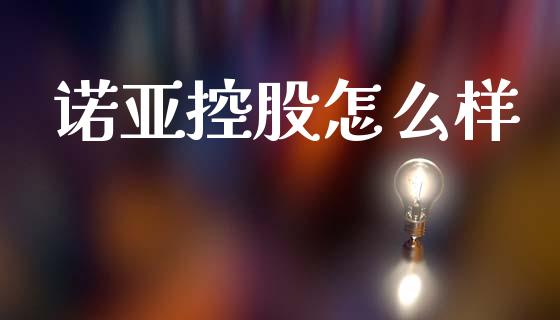 诺亚控股怎么样_https://www.gongyisiwang.com_股指期货交易手续费_第1张