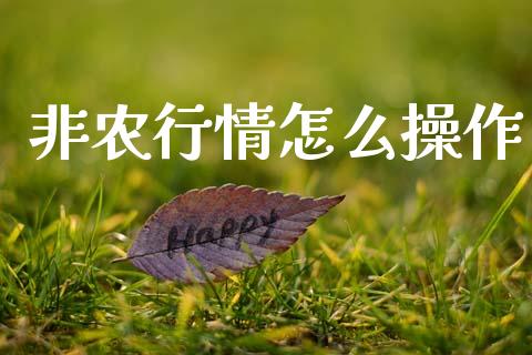 非农行情怎么操作_https://www.gongyisiwang.com_焦炭期货手续费_第1张