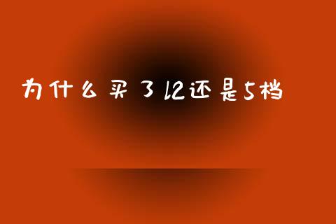 为什么买了l2还是5档_https://www.gongyisiwang.com_道指_第1张
