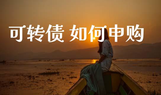 可转债 如何申购_https://www.gongyisiwang.com_股指期货交易手续费_第1张