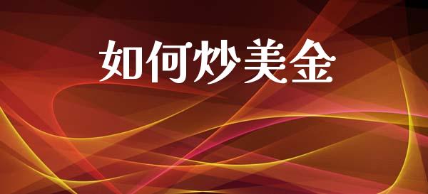 如何炒美金_https://www.gongyisiwang.com_恒指期货_第1张