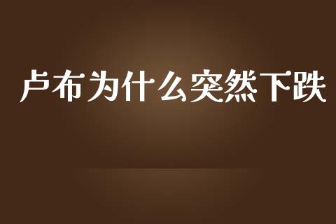 卢布为什么突然下跌_https://www.gongyisiwang.com_股指期货交易手续费_第1张