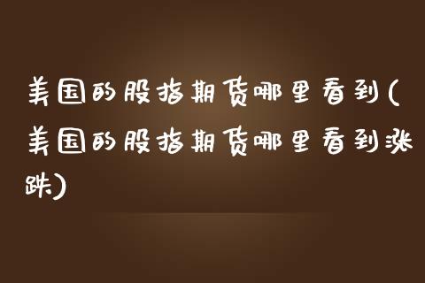 美国的股指期货哪里看到(美国的股指期货哪里看到涨跌)_https://www.gongyisiwang.com_期货公司手续费排名_第1张