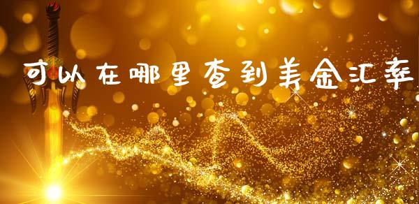 可以在哪里查到美金汇率_https://www.gongyisiwang.com_股指期货交易手续费_第1张