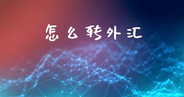 怎么转外汇_https://www.gongyisiwang.com_原油期货_第1张