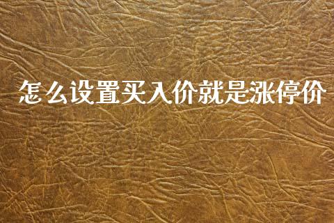 怎么设置买入价就是涨停价_https://www.gongyisiwang.com_期货公司手续费排名_第1张