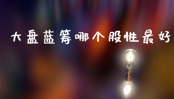大盘蓝筹哪个股性最好_https://www.gongyisiwang.com_期货公司手续费排名_第1张