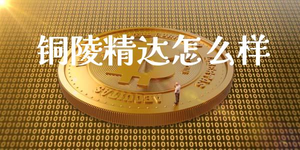 铜陵精达怎么样_https://www.gongyisiwang.com_股指期货_第1张