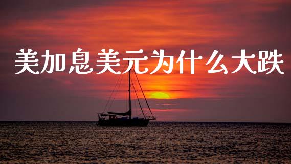 美加息美元为什么大跌_https://www.gongyisiwang.com_股指期货_第1张