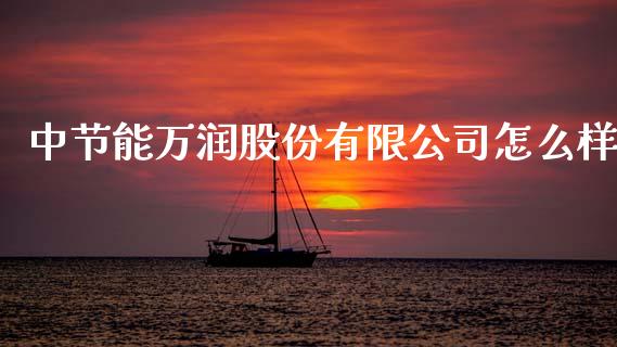 中节能万润股份有限公司怎么样_https://www.gongyisiwang.com_股指期货交易手续费_第1张