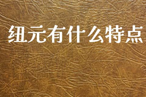 纽元有什么特点_https://www.gongyisiwang.com_原油期货_第1张