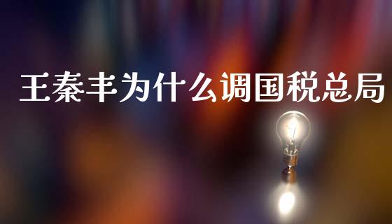 王秦丰为什么调国税总局_https://www.gongyisiwang.com_股指期货交易手续费_第1张