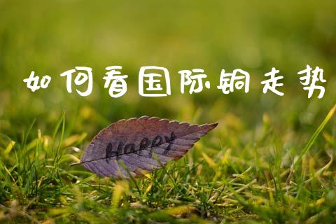 如何看国际铜走势_https://www.gongyisiwang.com_焦炭期货手续费_第1张