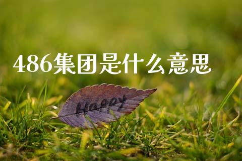 486集团是什么意思_https://www.gongyisiwang.com_原油期货_第1张