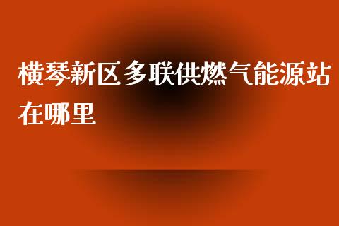 横琴新区多联供燃气能源站在哪里_https://www.gongyisiwang.com_股指期货交易手续费_第1张