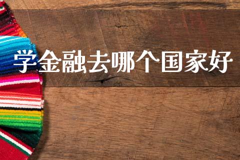 学金融去哪个国家好_https://www.gongyisiwang.com_期货公司手续费排名_第1张