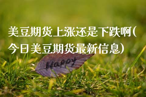 美豆期货上涨还是下跌啊(今日美豆期货最新信息)_https://www.gongyisiwang.com_股指期货交易手续费_第1张