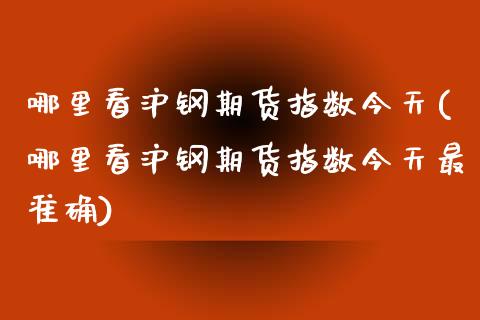哪里看沪钢期货指数今天(哪里看沪钢期货指数今天最准确)_https://www.gongyisiwang.com_焦炭期货手续费_第1张