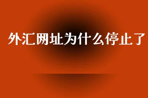 外汇网址为什么停止了_https://www.gongyisiwang.com_股指期货交易手续费_第1张