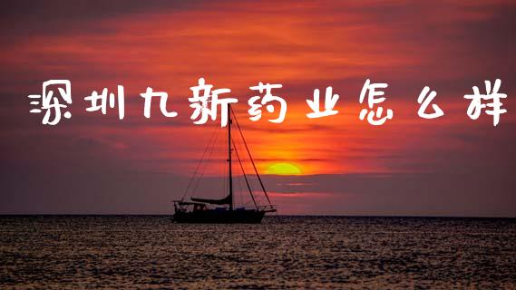 深圳九新药业怎么样_https://www.gongyisiwang.com_期货公司手续费排名_第1张