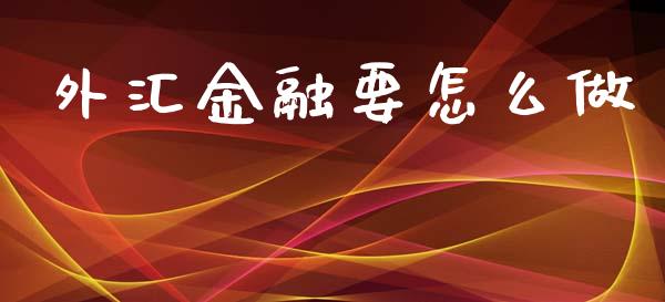 外汇金融要怎么做_https://www.gongyisiwang.com_股指期货交易手续费_第1张